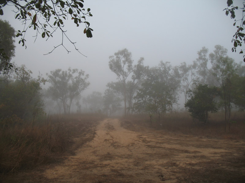 Lakefield National Park - Walkabout